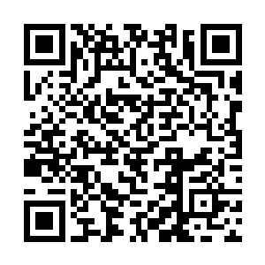 结合之前那个召唤兽所改造和强化出来的新型召唤兽二维码生成