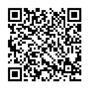 结果下午各大公会就出现了悬赏双刀假面的通缉令二维码生成