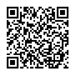 结果不出我所料……你们各自用自己的方式出发了二维码生成