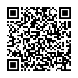 结果他当天晚上的时候就让人把我送港城那边给弄了回来二维码生成
