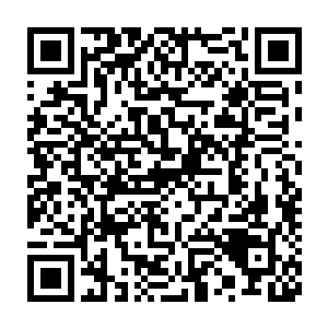 结果他看到的是一个穿着浅蓝色衣裙的女子正抬头看着那字画的样子二维码生成