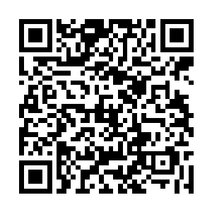 结果伴随丘圣尊者的受伤演化成了一场混乱的战斗二维码生成
