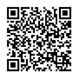 结果却被两个地精当成觊觎他们避难所的人类败类二维码生成