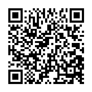 结果却被柳儿带着的一个面生的丫鬟全都撂倒在地二维码生成