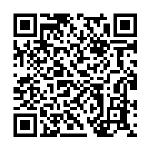 结果反倒是这神龙教几乎成为这雨夜星域的掌控者二维码生成