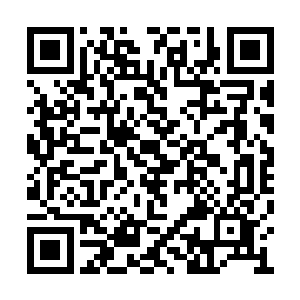 结果反弹回来的力量直接作用在他的手臂之上了二维码生成