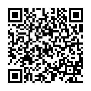 结果发现上空飞出了冰崖边缘的冰灵们慌忙后退了回去二维码生成