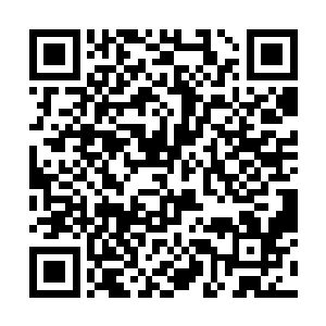 结果只传送了只需要几十枚五彩神晶便可到达的距离二维码生成