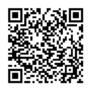 结果好死不死地撞到影宗在这里布置的秘密基地上二维码生成