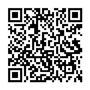 结果娘娘就自己提起司礼监掌印的事情……咱们二维码生成