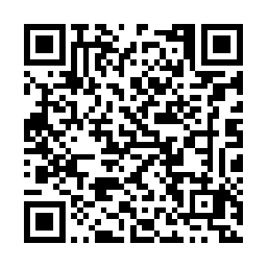 结果安雅琳在怀孕到第4年整的时候就突然要生了二维码生成