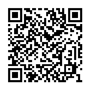 结果就只给剑尘造成了这么一点不痛不痒的伤势二维码生成