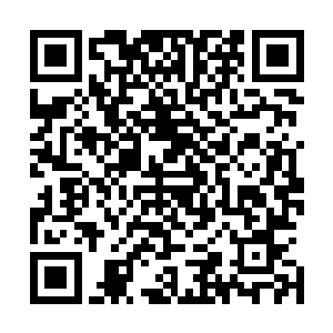 结果就看到一只白皙粉嫩的手正在林晓夕房间外对着自己招二维码生成