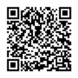 结果弄得他们八人胆大包天的追着一只九阶魔兽跑了大半个兽神二维码生成