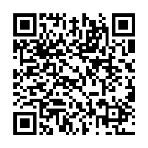 结果惊人的发现虽然和我的创元法骤然石化不一样二维码生成