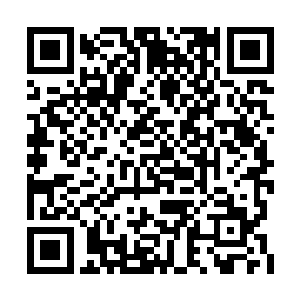 结果无意间看到了两个打扮很像帝国人的大孩子二维码生成