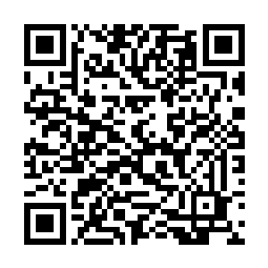 结果晏锦突然说要补脑……这让窦妈妈有些哭笑不得二维码生成
