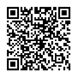 结果晚些时候就有不少淘气的小子跑到前面的河里捉鱼二维码生成