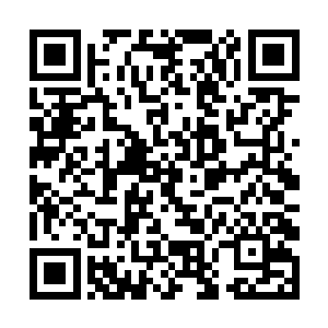结果林烽这不是去了岩浆世界就是给拨金鼠去针灸了二维码生成