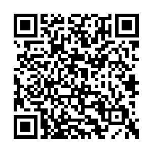 结果没想到那些雪狼没有吃他们还遇到了一群人二维码生成