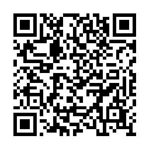 结果没有能够成为献给那至高无上的神明的圣女二维码生成