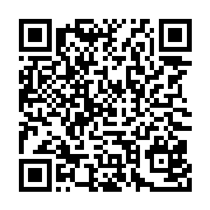 结果没来得及说就被外面尖锐的骨哨声给打断了二维码生成