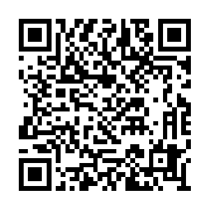 结果王宏全家老小二十七口一夜之间被屠杀殆尽二维码生成