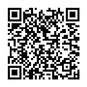 结果被旁边实在看不下去的黑甲兄弟零度拦了下来二维码生成