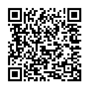 结果还导致了这种2阶丧尸在智商方面连舔食者都不如二维码生成