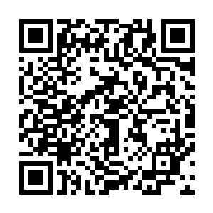 结果还是把别人送给我的那只三命猫给解剖了……医生叔叔二维码生成