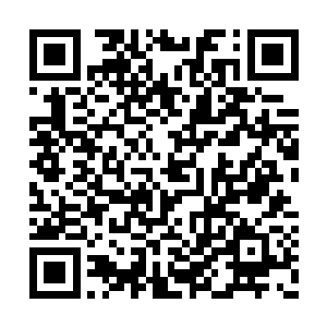 结果这事儿让闷在屋里还不能出门的大妞知道了二维码生成