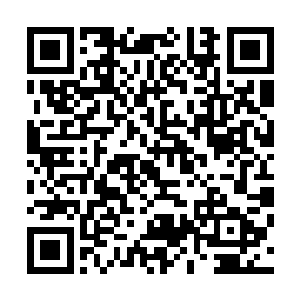 结果这天中午一个年轻姑娘开着一辆很不起眼的两厢车过来二维码生成