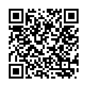 结果这树枝果然比我想象的都坚硬二维码生成