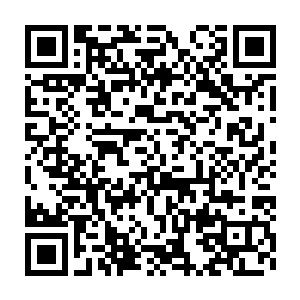 结果这样的攻击竟然只是在这头食灵兽的身上留下一道淡淡的痕迹二维码生成