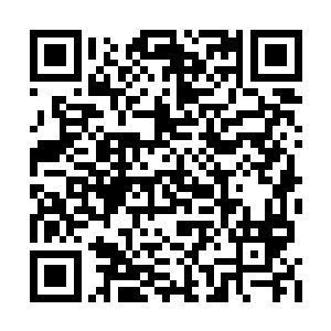 结果这种情况免不了引来了地府一群男人的妒忌二维码生成