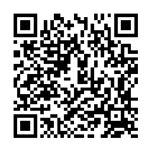 结果这脸就不受控制的轰的一下自耳朵根烧到天灵盖二维码生成