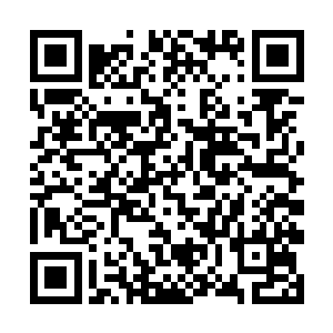 结果那一届单单中暑晕倒的新生就有快一百名了……二维码生成