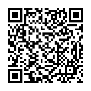 结果那个年轻人突然转身就朝着一条的走廊跑了出去二维码生成