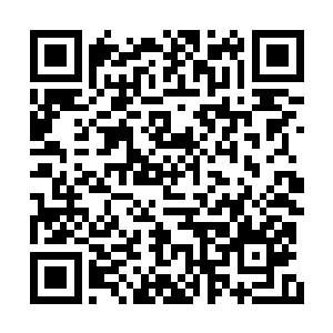 结果那位小姐看着园子里圆滚滚的像球似的兔子二维码生成