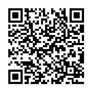 结果那几个野蛮无礼的无角人竟然动手打了我儿子二维码生成