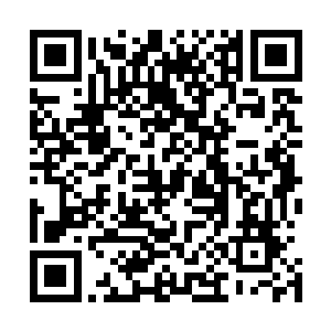 结果阴差阳错的便飞到这片他们也不知道名字的原始森林中二维码生成