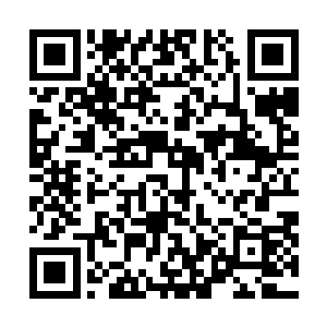 绘画者高超的技艺和真挚的情感赋予这幅画以生命和灵魂二维码生成