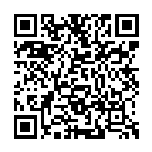 给人一种无限仁慈的感觉……但那毕竟是一片海二维码生成