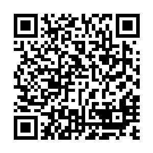 给人看个病就轻轻松松赚到了自己家里一辈子都赚不到的钱二维码生成
