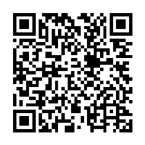 给他下达指令之人并没有提到让他这样做的原因和目的二维码生成