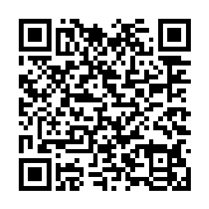 给他们打菜递馒头的尼姑很不想给几个孩子这么多二维码生成