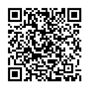 给他们每人面前都呈上了一杯温热浓郁的白咖啡二维码生成