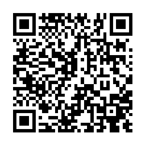 给他们背后捅了一刀的年轻藩王对此好似浑然不觉二维码生成