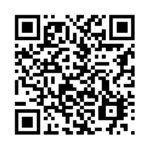 给他点时间让他好好把修为提升上来二维码生成