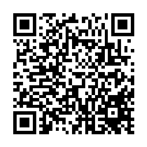 给他的感受就是毛小鹏这一届的组织部是典型的怠政惰政二维码生成